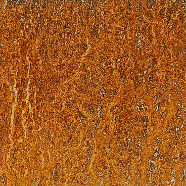 GIF – Pott Glas Produktmerkmal Roststahl: magnetisch, korrodiert und witterungsbeständig versiegelt. Zeigt Abperleffekt.